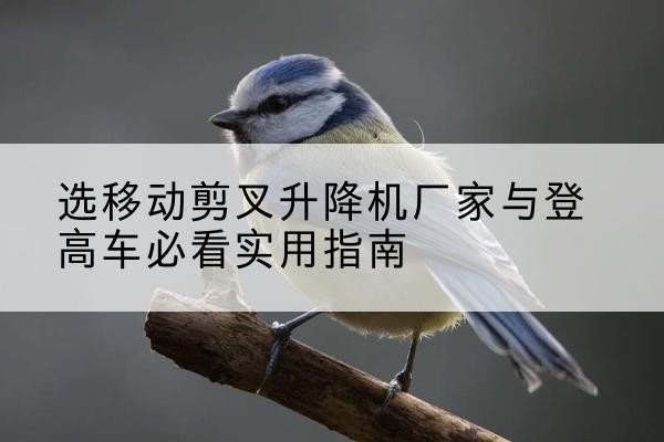 柳江电动升降机厂家-选移动剪叉升降机厂家与登高车必看实用指南