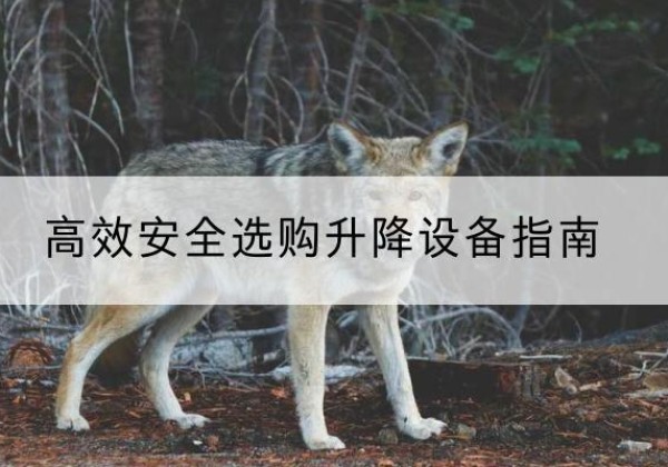 柳江升降货梯厂家推荐-*安全选购升降设备指南